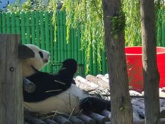 -西霞口神雕山野生动物世界