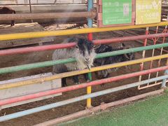 -南宫五洲植物乐园