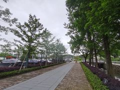 -黄贤森林公园