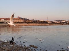 -栈桥景区