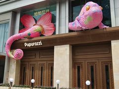 -帕帕拉兹宠物(亚洲旗舰店)