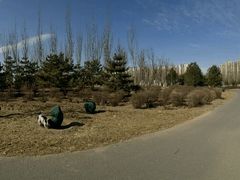 -永定河休闲森林公园