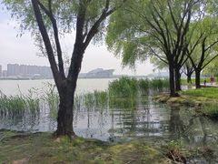 -高子水居