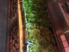 -鱼窝棚柴火铁锅炖(富山屯店)