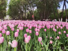 -西宁市人民公园(城西区)