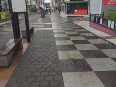 -宝健路步行街(Pedestrian Shopping Street)