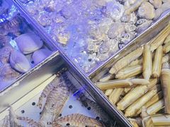 -77号渔船·蒸海鲜青岛菜(积米崖店)