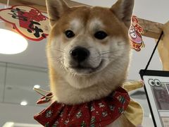 -汇德隆银隆