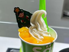 -Salud撒露欧洲冻酸奶(北苑上品店)