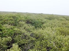 -北海金海湾红树林生态旅游区