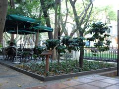 景观位-星巴克臻选(广州沙面店)