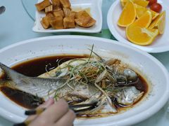 海鲫鱼-龙宫海鲜楼(长乐漳港店)