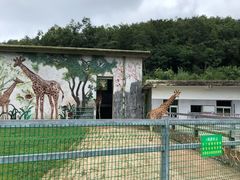 -贵州森林野生动物园