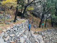 -北京鹫峰国家森林公园