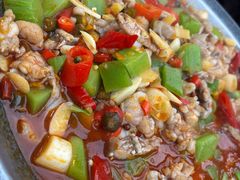 -大湾金牌万州烤鱼(沙河店)