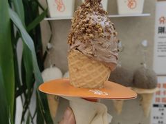 -野人先生现做冰淇淋(北京环宇荟店)