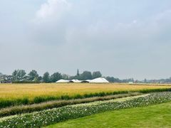 -中国天府农业博览园