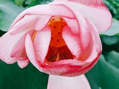 -龙环葡韵住宅式博物馆