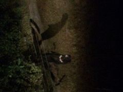 Chiang&nbsp;Mai&nbsp;Night&nbsp;Safari-清迈夜间动物园