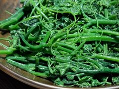 清炒丝瓜尖-金孔雀德宏傣味餐馆(魏公村店)