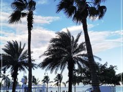 -星巴克(珠海仁恒滨海中心店)