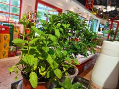 -蛙一刀·麻椒鱼火锅(金仙桥店)