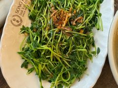 -松發肉骨茶(先得坊店)