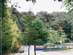 -广州市流溪河国家森林公园