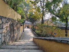 -灵岩山风景区