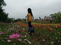 -丹樱生态园