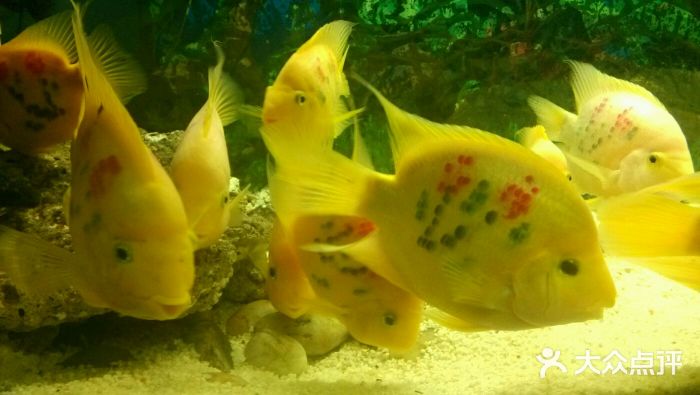 海洋馆(淮南店)图片