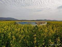 -光明小镇欢乐田园