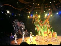 -桥底辣蟹(谢斐道店)