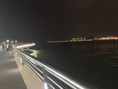 -演武大桥观景平台