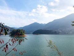 -广州市流溪河国家森林公园