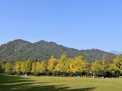 -青城山