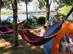 -长白岛森林公园