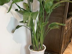 -毛家饭店·30年融合新湘菜(汉峪金谷店)