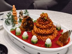 -丁老爷子苏香圆