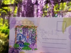 -嘉定紫藤园