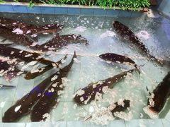 -山里屯铁锅炖·东北菜(康桥店)