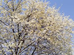 -名花谷生态庄园