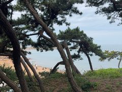 -青岛第二海水浴场