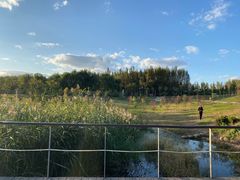 -丁香湖公园