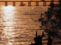 -宝安西湾红树林湿地公园