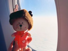 -厦门高崎国际机场-T3航站楼