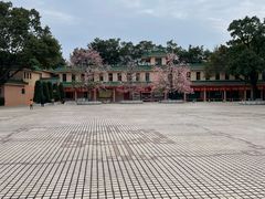 -广东圆玄道观
