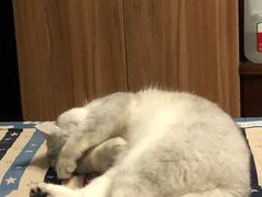 -春晖园度假酒店温泉