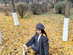 -长白岛森林公园