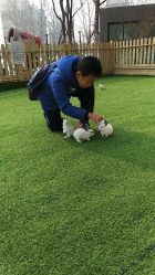 -萌宠亲子动物乐园(槐房万达店)